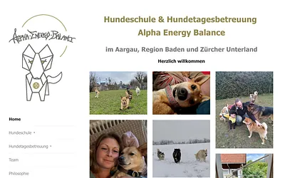 www.alpha-energy-balance.com snapshot