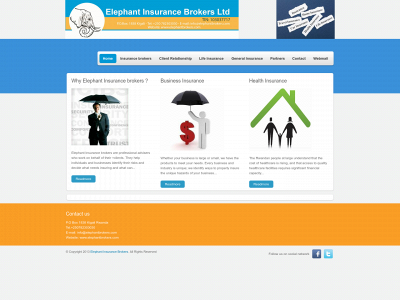 elephantbrokers.com snapshot
