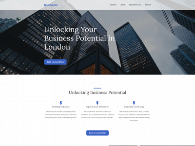 blueconex.com snapshot