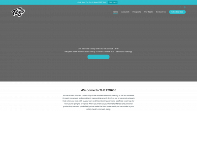 theforgefit.com snapshot