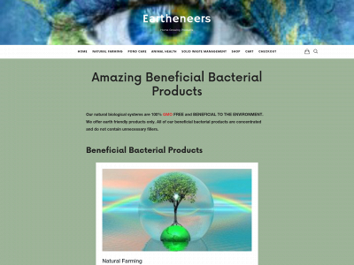 eartheneers.com snapshot