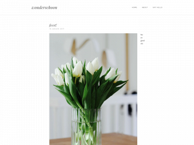 wonderschoon.be snapshot