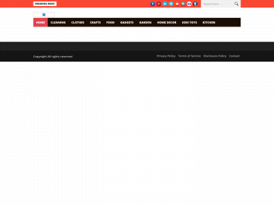 topdiyzone.com snapshot