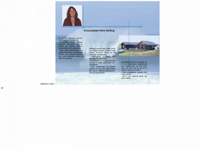 ninasalling.dk snapshot