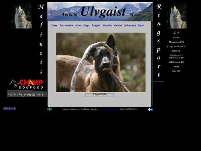 ulvgaist.com snapshot
