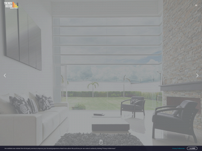 trendydecor.in snapshot