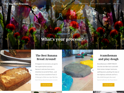 therachelprocess.com snapshot