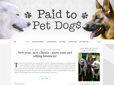 paidtopetdogs.com snapshot
