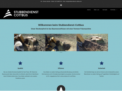 stubbendienst-cottbus.de snapshot