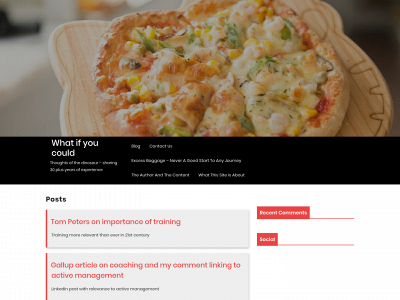 whatifyoucould.net snapshot