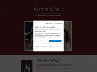 okejs.se snapshot