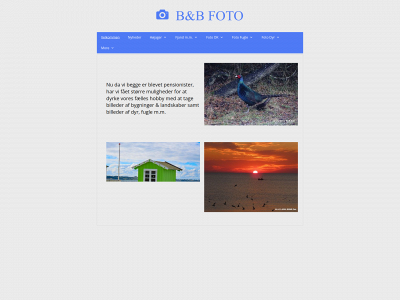 b-b-foto.dk snapshot