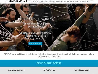 bigico.ca snapshot