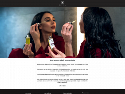 elfyna.com snapshot