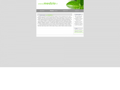 medzio.lt snapshot