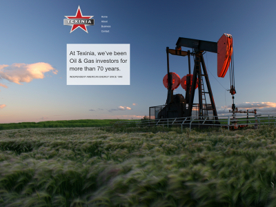 texinia.com snapshot