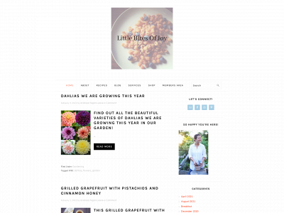 littlebitesofjoy.com snapshot