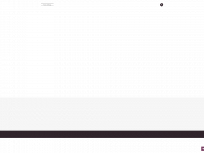teiseversle.lt snapshot