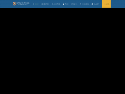 consolata-foundation.org snapshot