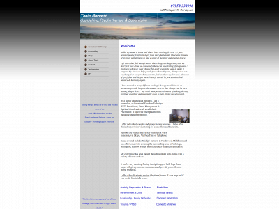 toniagarrett-therapy.com snapshot