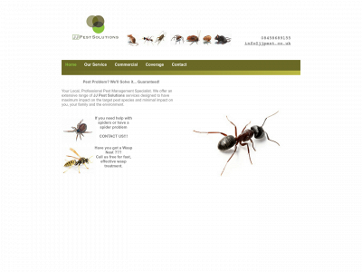 jjpest.co.uk snapshot