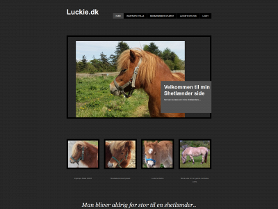 luckie.dk snapshot