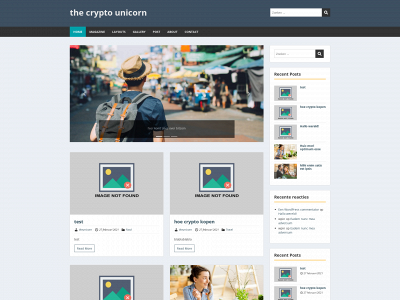 thecryptounicorn.be snapshot