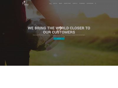 primerinternational.net snapshot