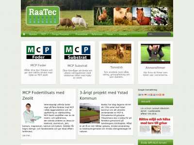 raatec.com snapshot