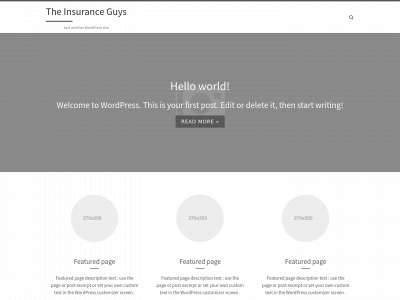 miinsuranceguys.com snapshot