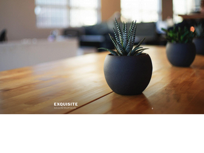 exquisitewindow.org snapshot