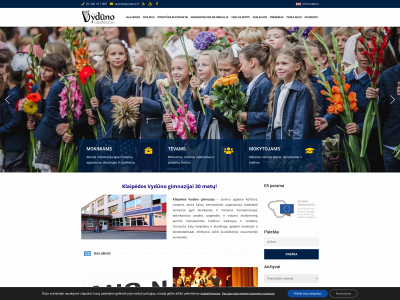 vyduno.lt snapshot