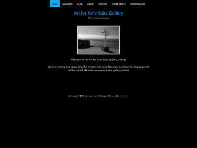 artforartssakegallery.com snapshot