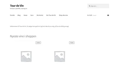 tourdevin.dk snapshot