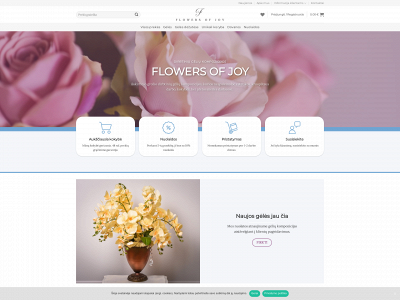 flowersofjoy.lt snapshot