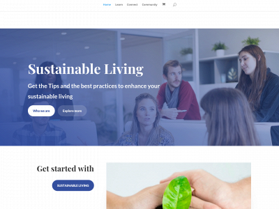 silverlinenetwork.com snapshot