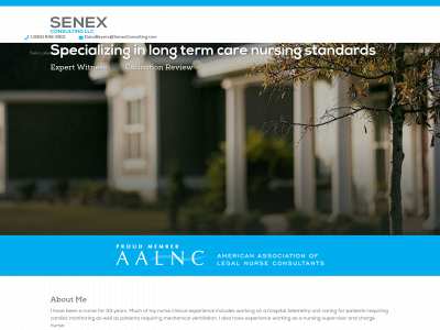 senexconsulting.com snapshot