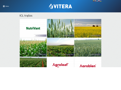 vitera.lt snapshot