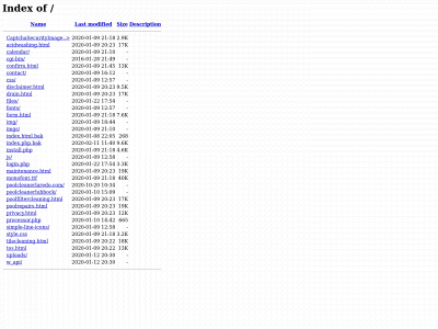 poolcleanerlaredo.com snapshot
