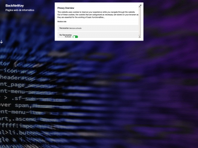 backnetkey.com snapshot
