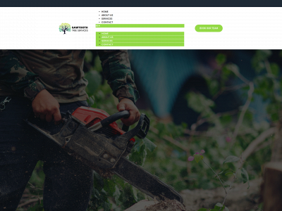 sawtoothtreeservicehtx.com snapshot
