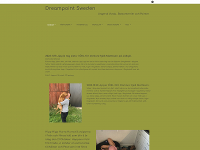 dreampointsweden.se snapshot