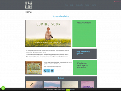 ideasonthefloor.com snapshot
