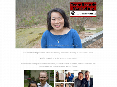 teambrandt.net snapshot