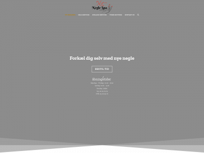 nt-neglespa.dk snapshot