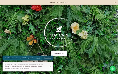 cupcats.fr snapshot