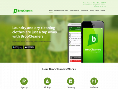 broocleaners.net snapshot
