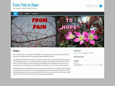 frompaintohope.com snapshot