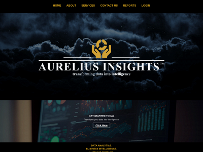 aureliusinsights.com snapshot