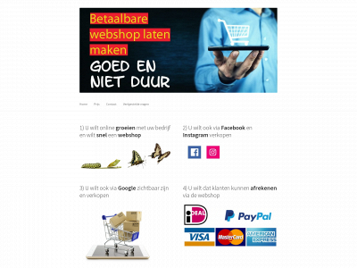 betaalbare-webshop-maken.nl snapshot